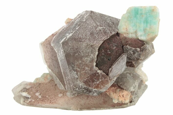 Amazonite Crystal On Smoky Quartz Crystal Cluster - Colorado #234629